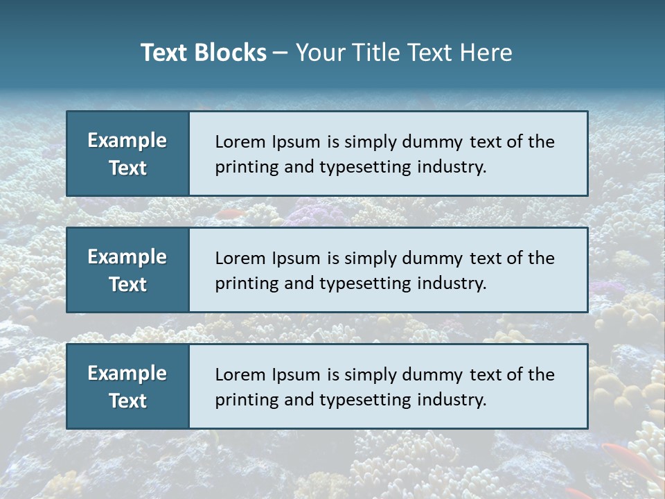 Marine Animals Underwater Marine Life PowerPoint Template