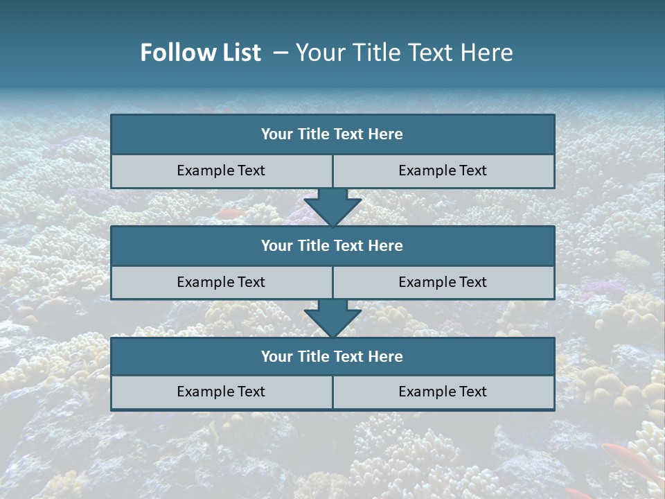 Marine Animals Underwater Marine Life PowerPoint Template