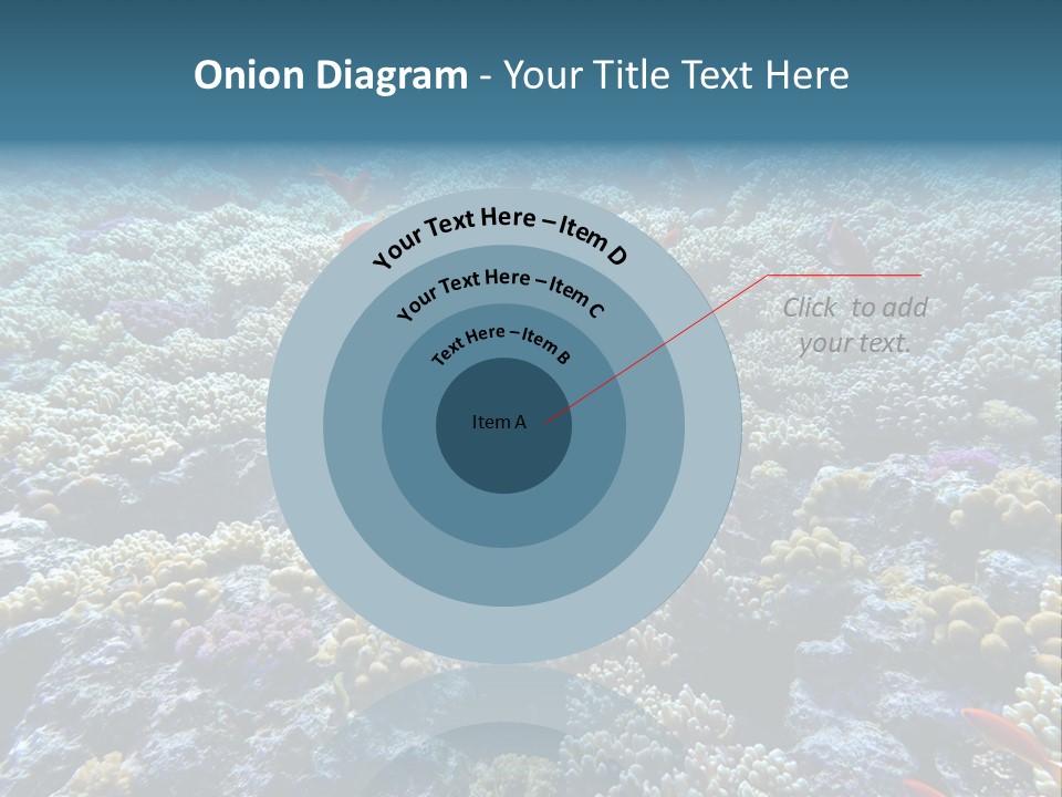 Marine Animals Underwater Marine Life PowerPoint Template