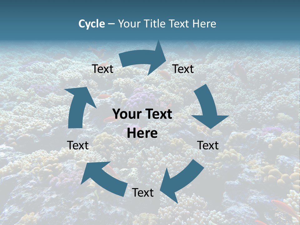 Marine Animals Underwater Marine Life PowerPoint Template