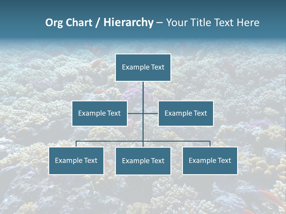 Marine Animals Underwater Marine Life PowerPoint Template