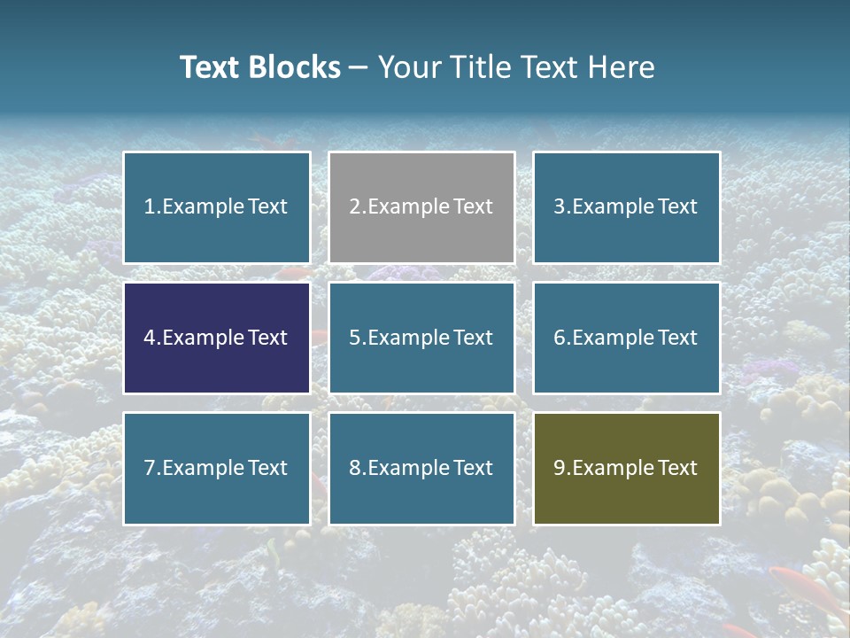 Marine Animals Underwater Marine Life PowerPoint Template