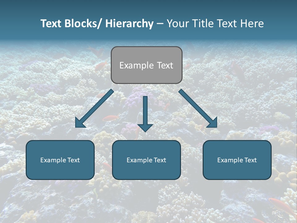 Marine Animals Underwater Marine Life PowerPoint Template