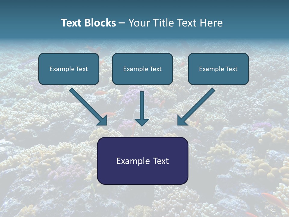 Marine Animals Underwater Marine Life PowerPoint Template