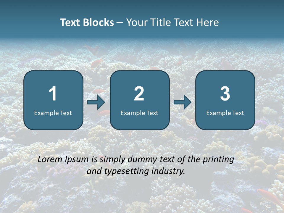 Marine Animals Underwater Marine Life PowerPoint Template