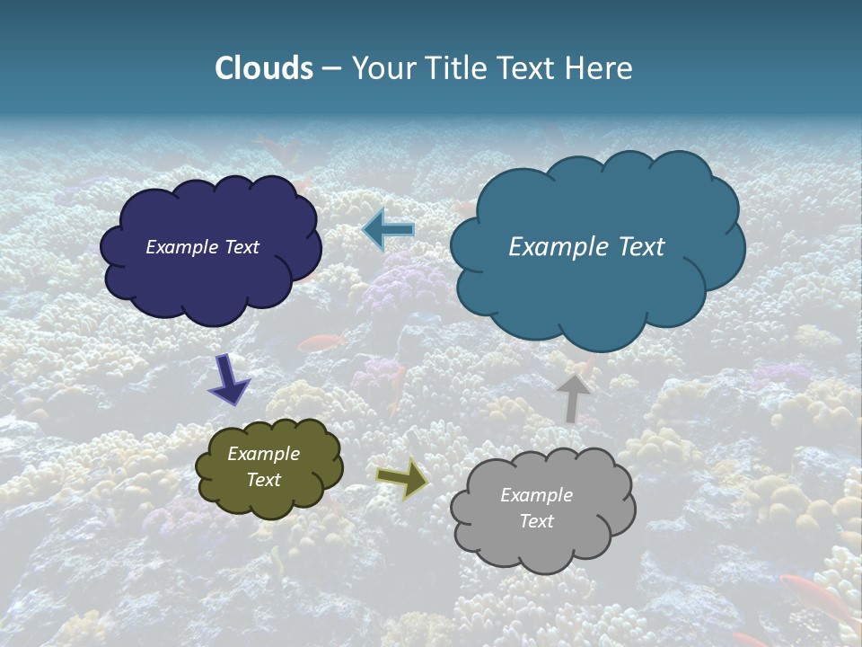Marine Animals Underwater Marine Life PowerPoint Template