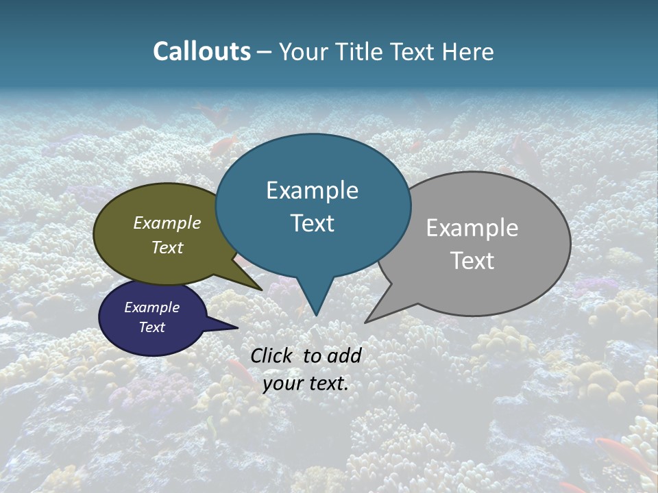 Marine Animals Underwater Marine Life PowerPoint Template