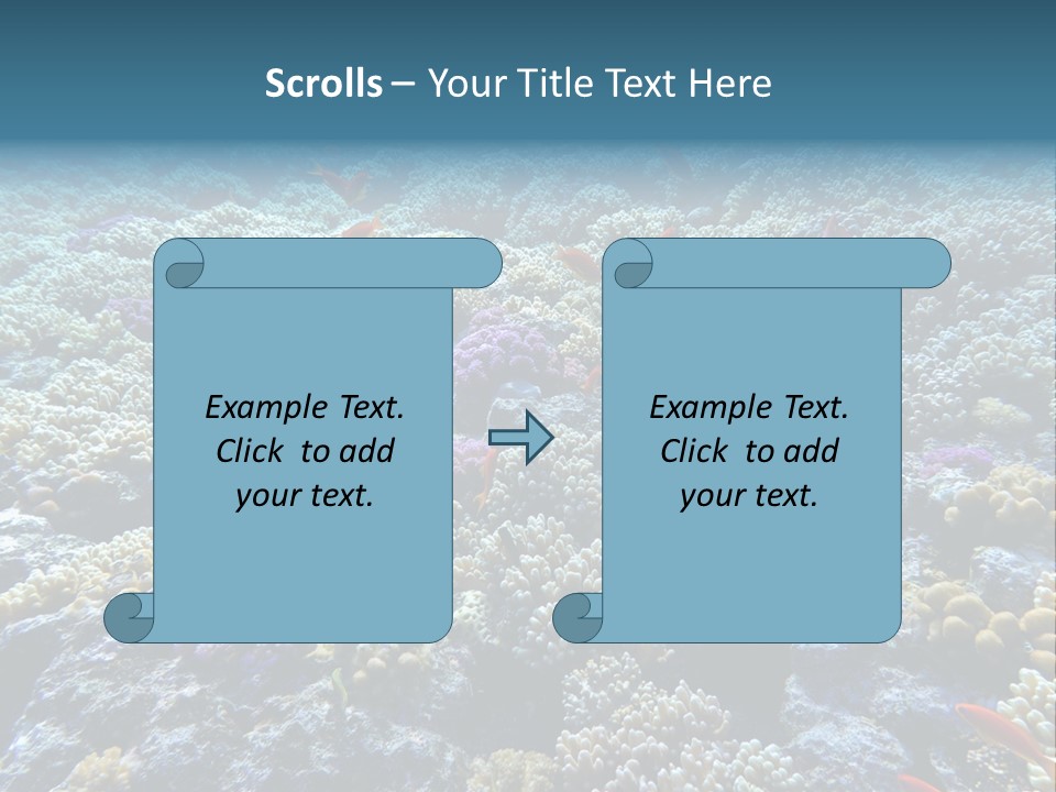 Marine Animals Underwater Marine Life PowerPoint Template