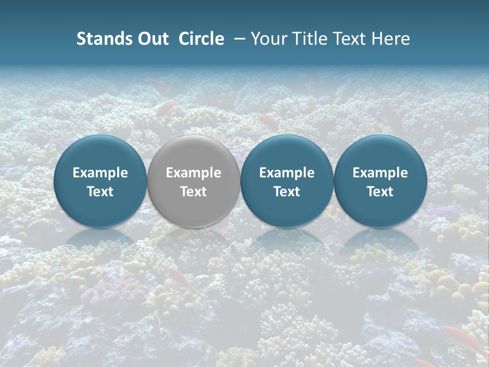 Marine Animals Underwater Marine Life PowerPoint Template