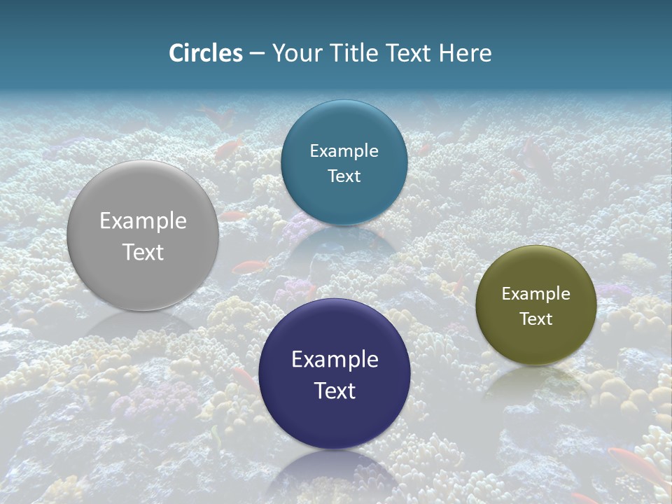 Marine Animals Underwater Marine Life PowerPoint Template