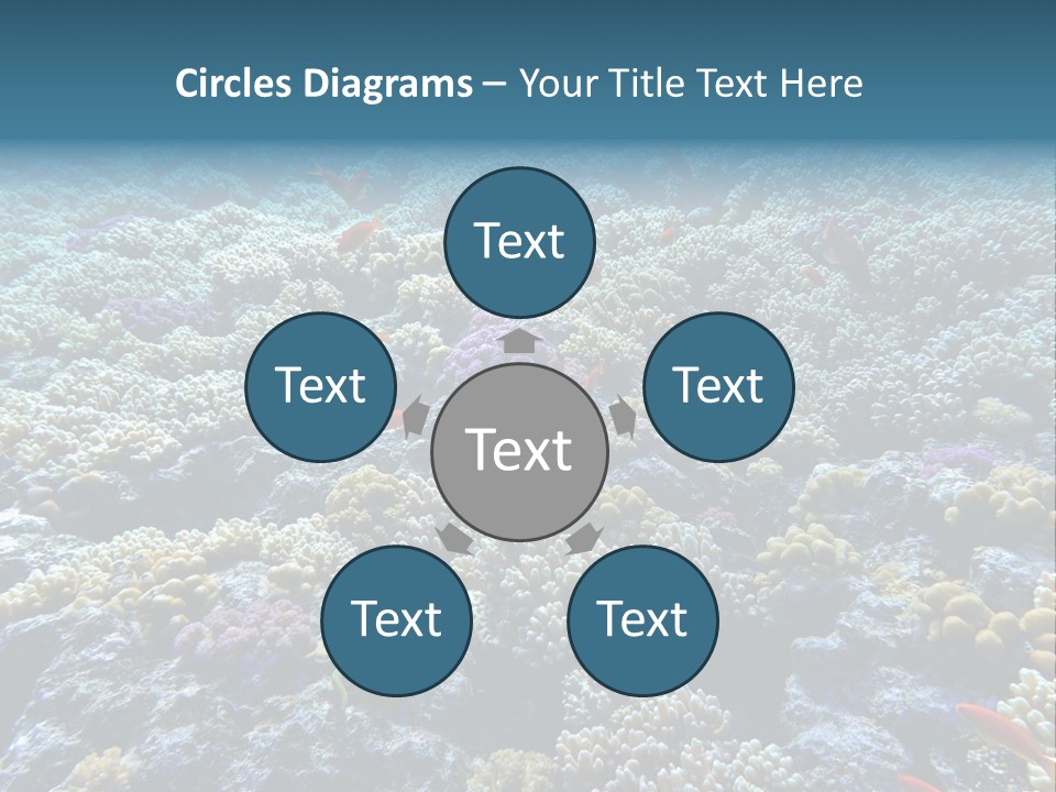 Marine Animals Underwater Marine Life PowerPoint Template