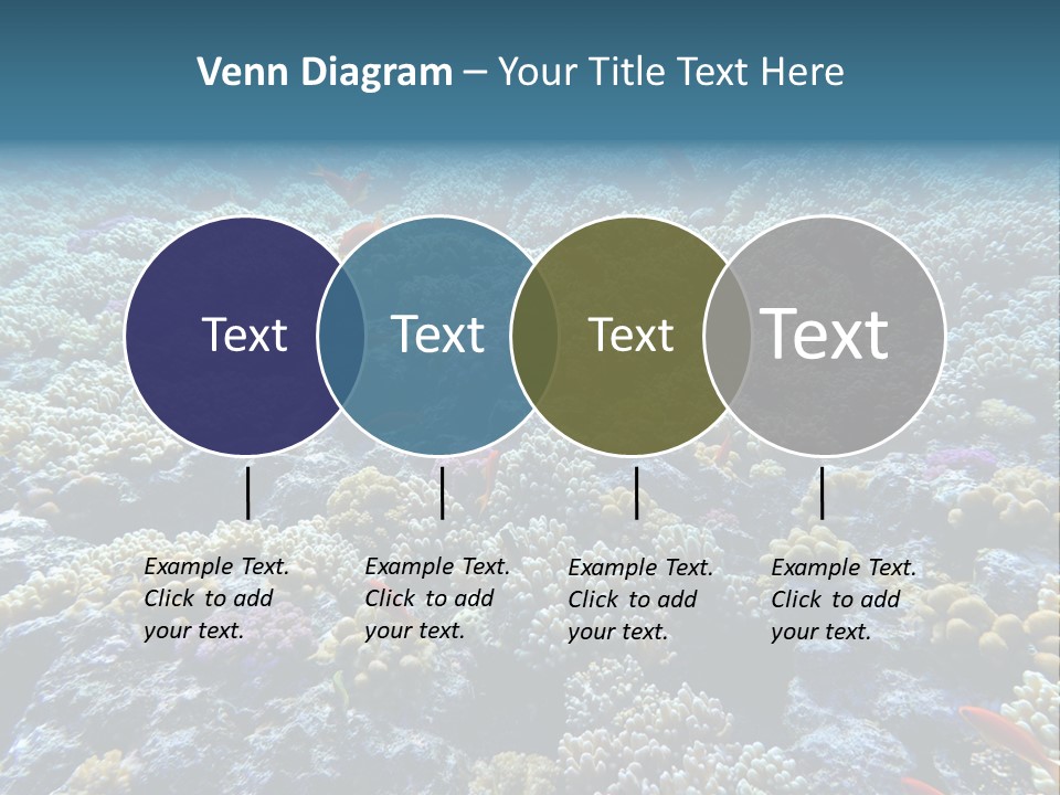 Marine Animals Underwater Marine Life PowerPoint Template