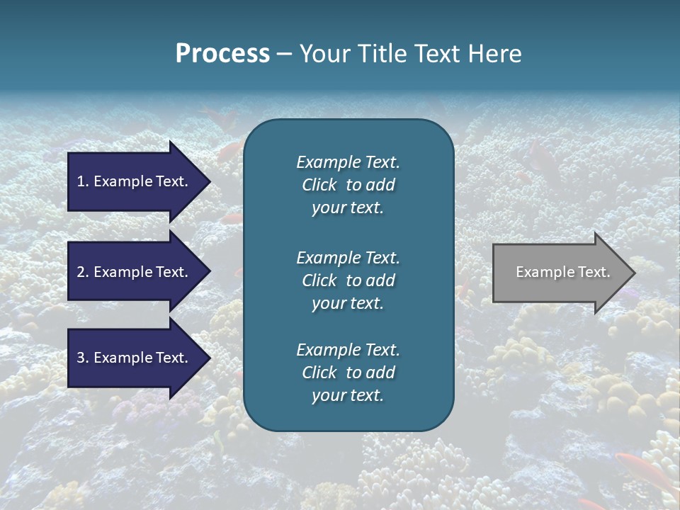Marine Animals Underwater Marine Life PowerPoint Template