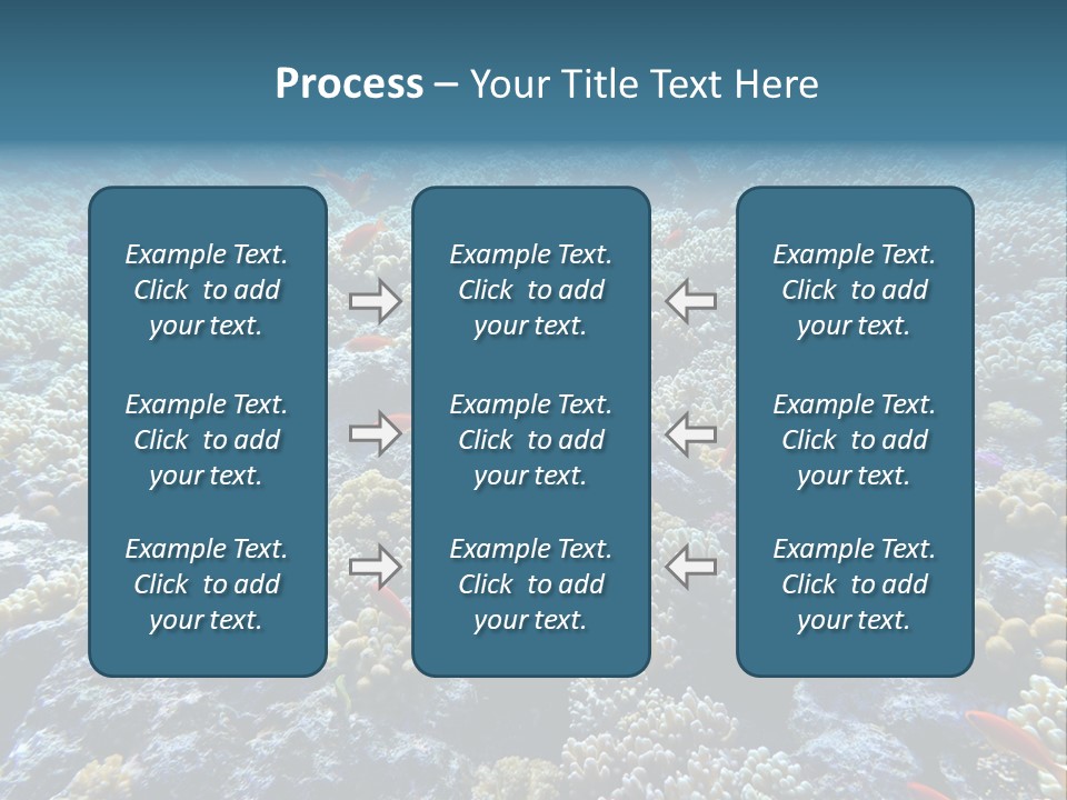 Marine Animals Underwater Marine Life PowerPoint Template