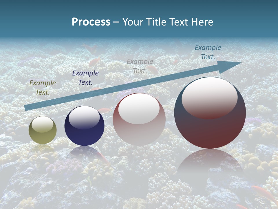 Marine Animals Underwater Marine Life PowerPoint Template