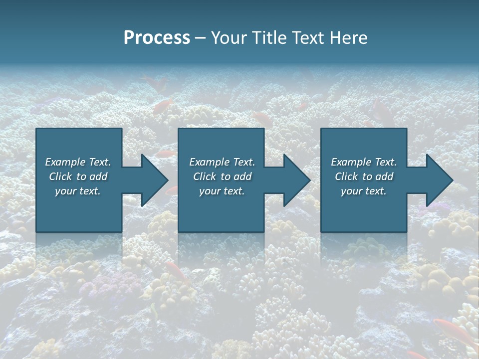 Marine Animals Underwater Marine Life PowerPoint Template