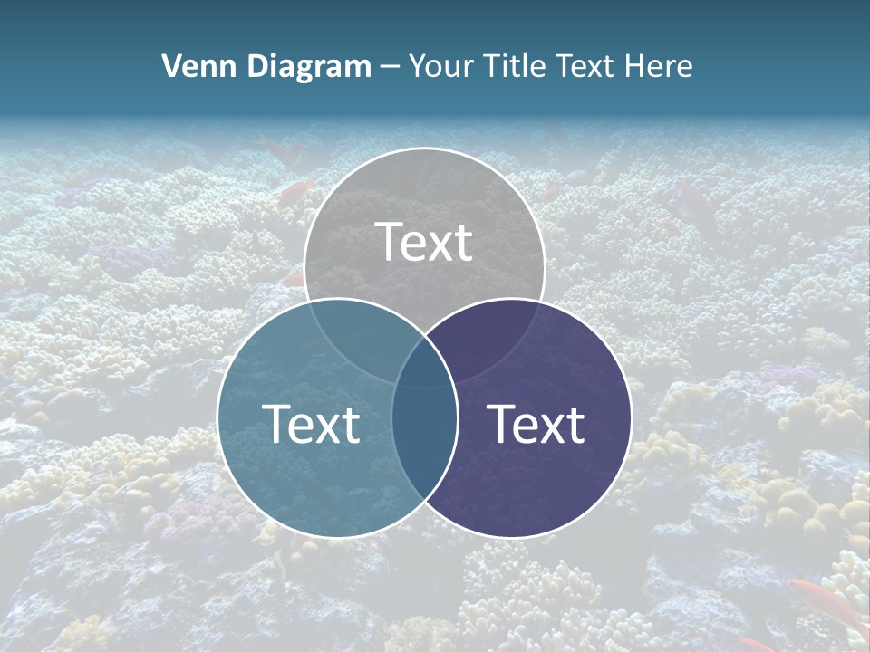 Marine Animals Underwater Marine Life PowerPoint Template