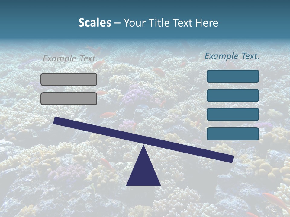 Marine Animals Underwater Marine Life PowerPoint Template