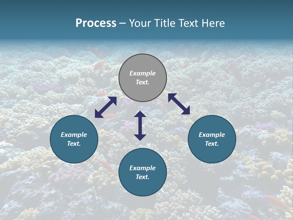 Marine Animals Underwater Marine Life PowerPoint Template