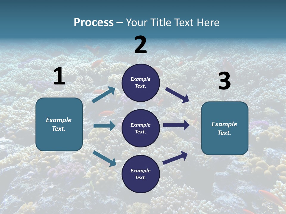 Marine Animals Underwater Marine Life PowerPoint Template