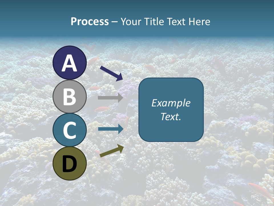 Marine Animals Underwater Marine Life PowerPoint Template