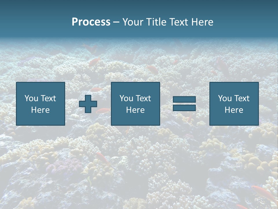 Marine Animals Underwater Marine Life PowerPoint Template