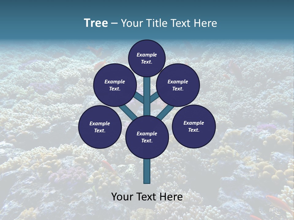 Marine Animals Underwater Marine Life PowerPoint Template