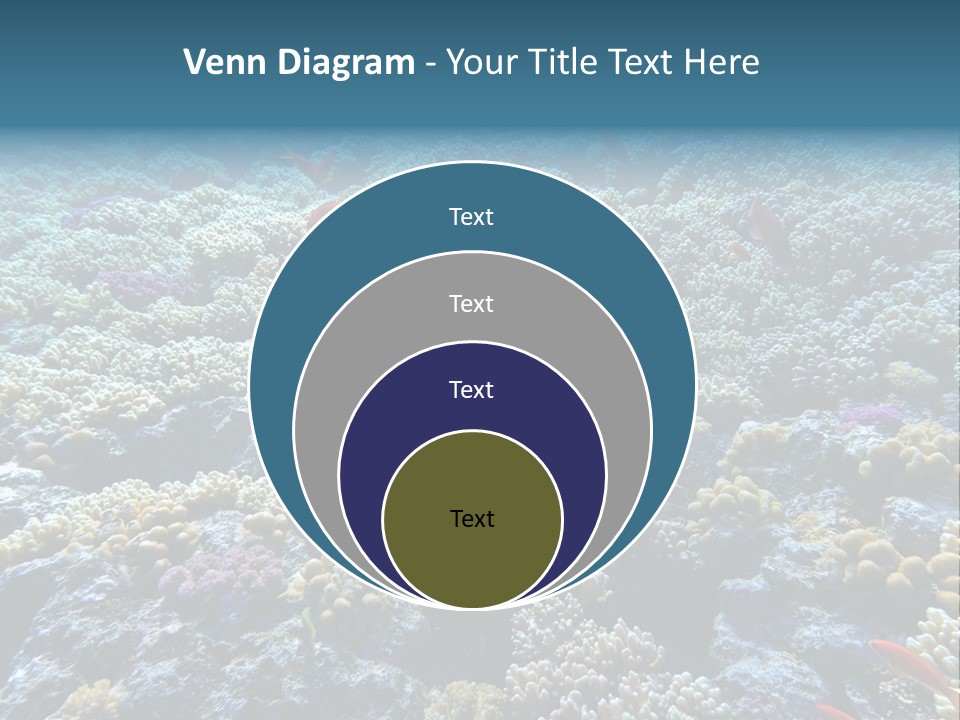 Marine Animals Underwater Marine Life PowerPoint Template