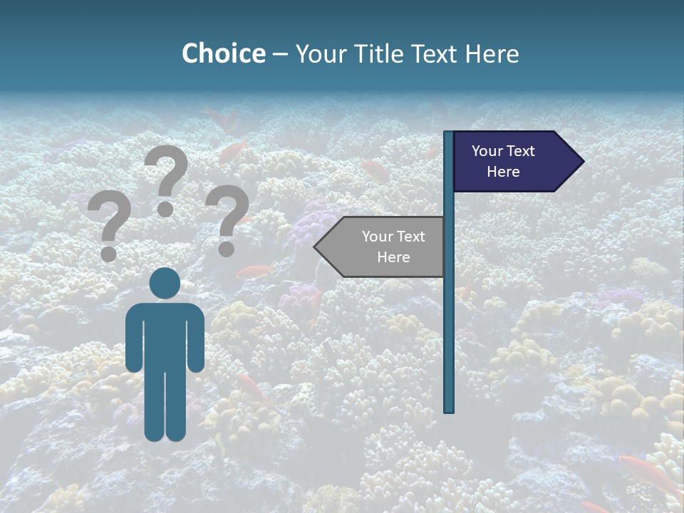 Marine Animals Underwater Marine Life PowerPoint Template