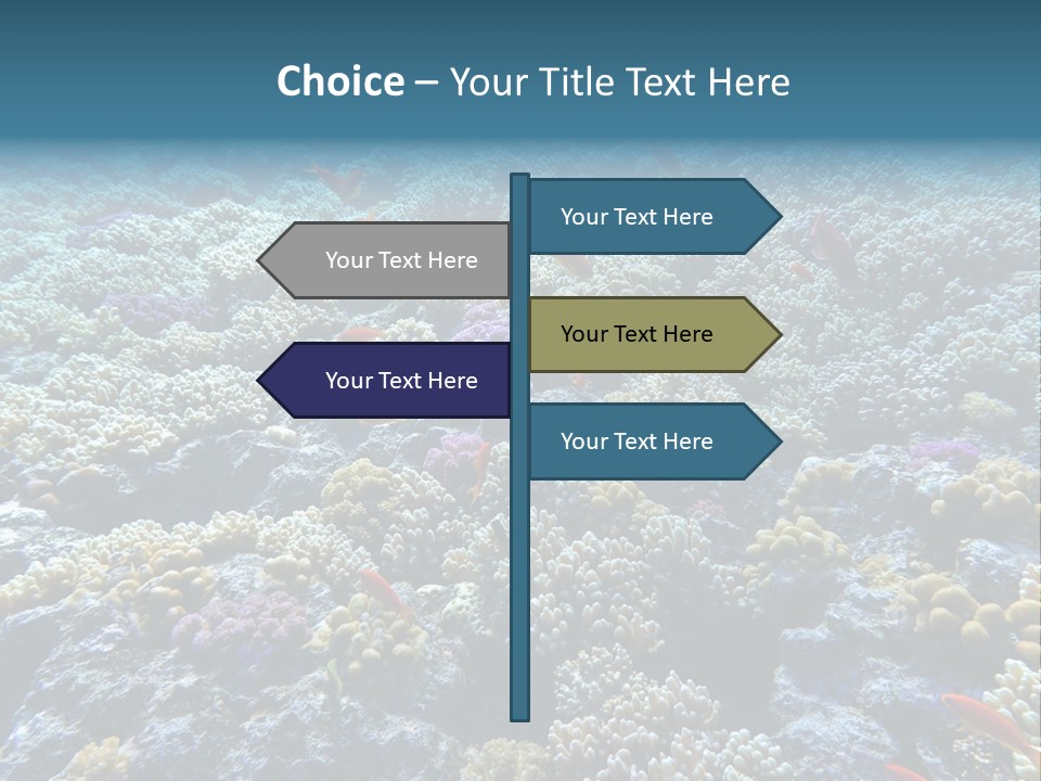 Marine Animals Underwater Marine Life PowerPoint Template