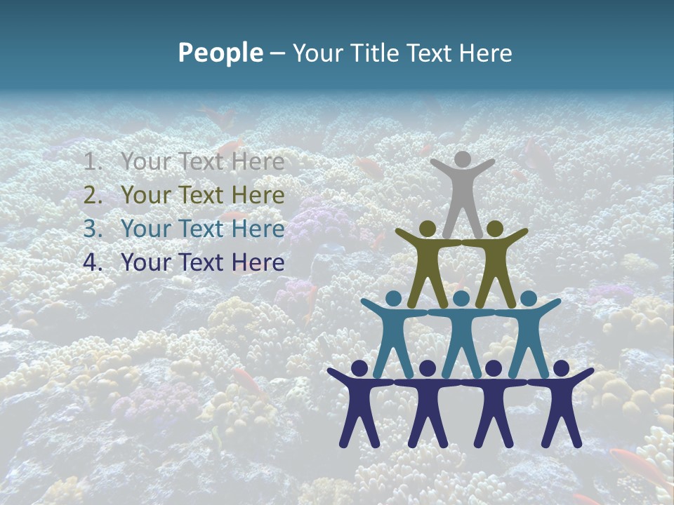 Marine Animals Underwater Marine Life PowerPoint Template