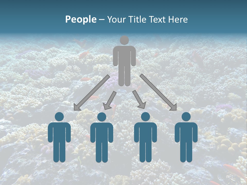 Marine Animals Underwater Marine Life PowerPoint Template