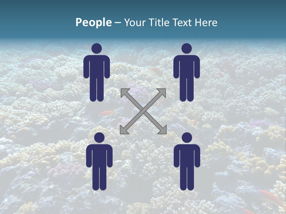 Marine Animals Underwater Marine Life PowerPoint Template