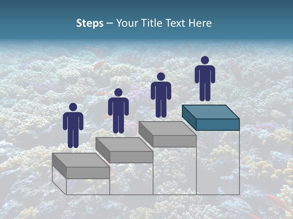 Marine Animals Underwater Marine Life PowerPoint Template