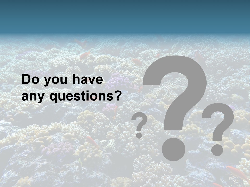 Marine Animals Underwater Marine Life PowerPoint Template