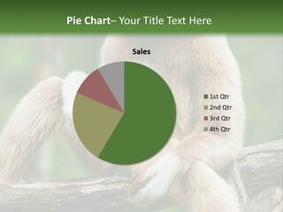 Thoughtful Cheeked Hominid PowerPoint Template