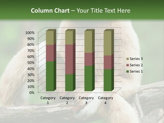 Thoughtful Cheeked Hominid PowerPoint Template