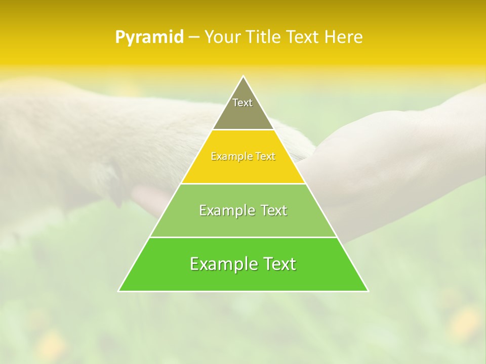 Care Help Hand PowerPoint Template