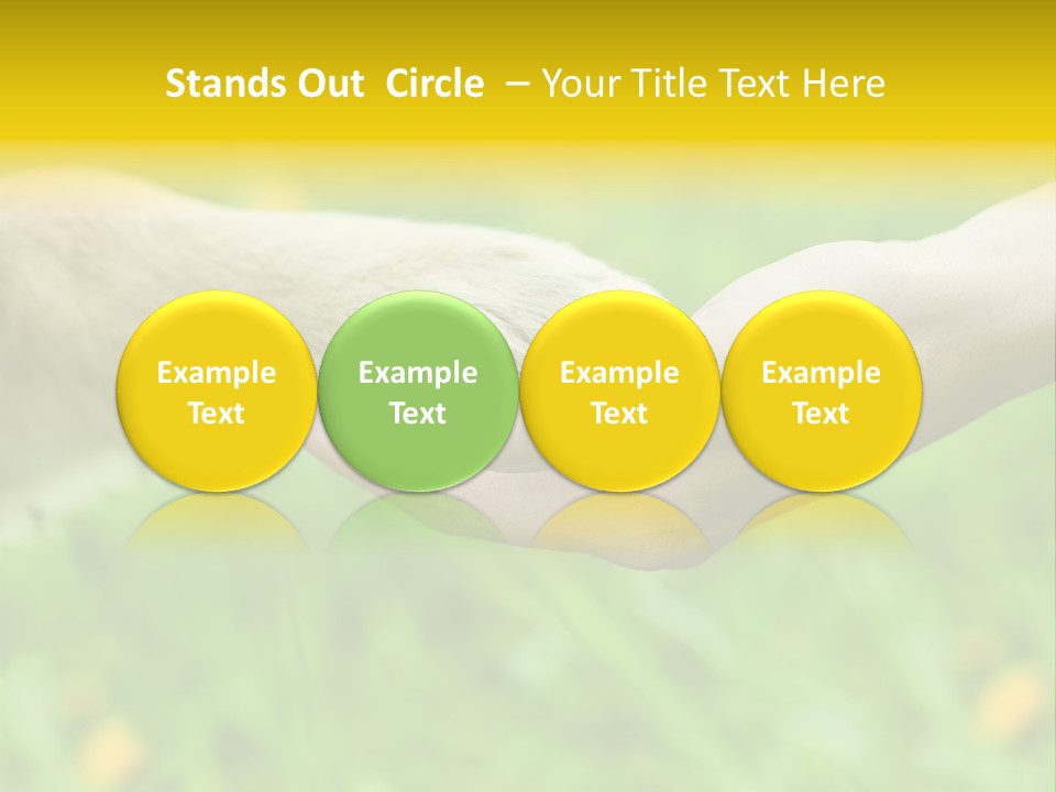 Care Help Hand PowerPoint Template