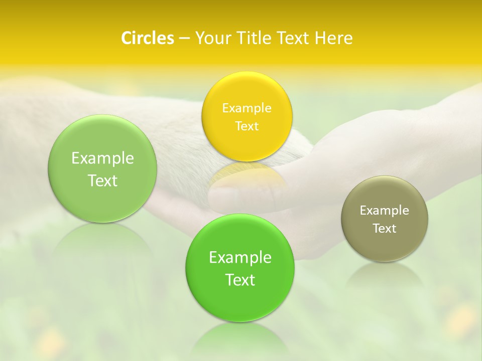Care Help Hand PowerPoint Template