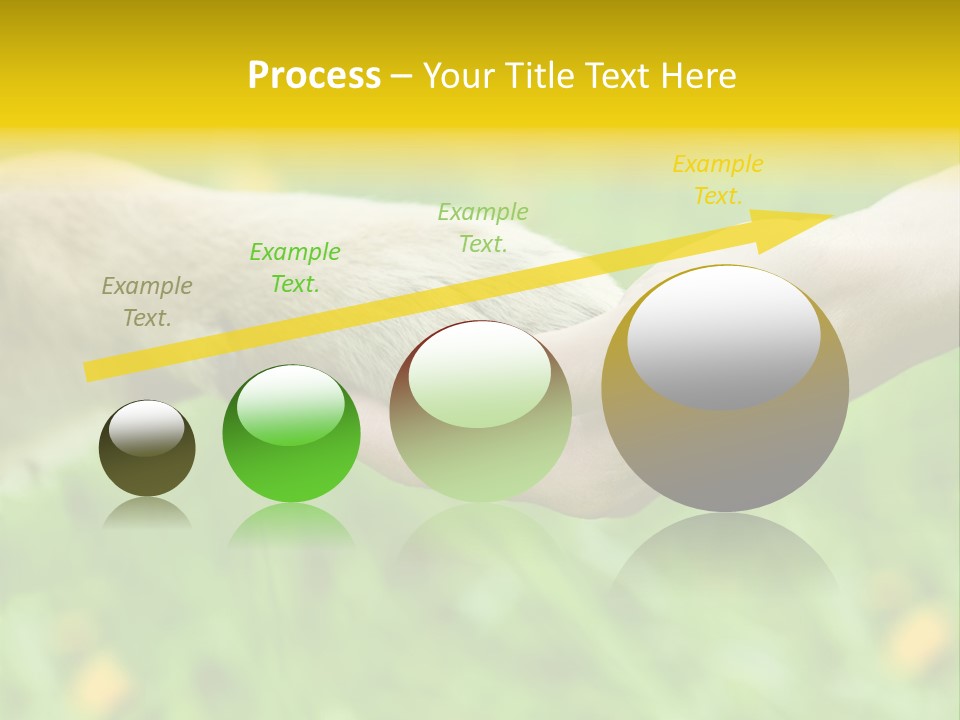 Care Help Hand PowerPoint Template
