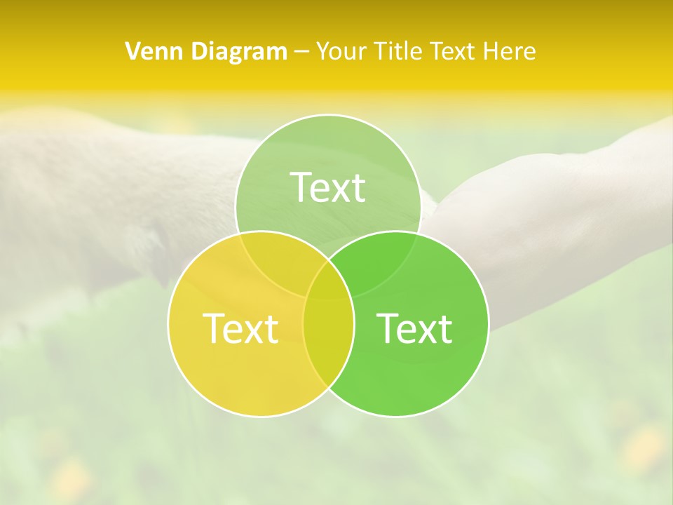 Care Help Hand PowerPoint Template