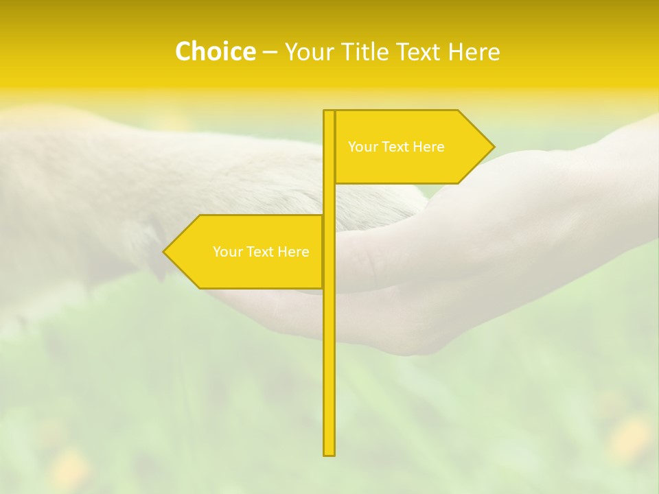 Care Help Hand PowerPoint Template
