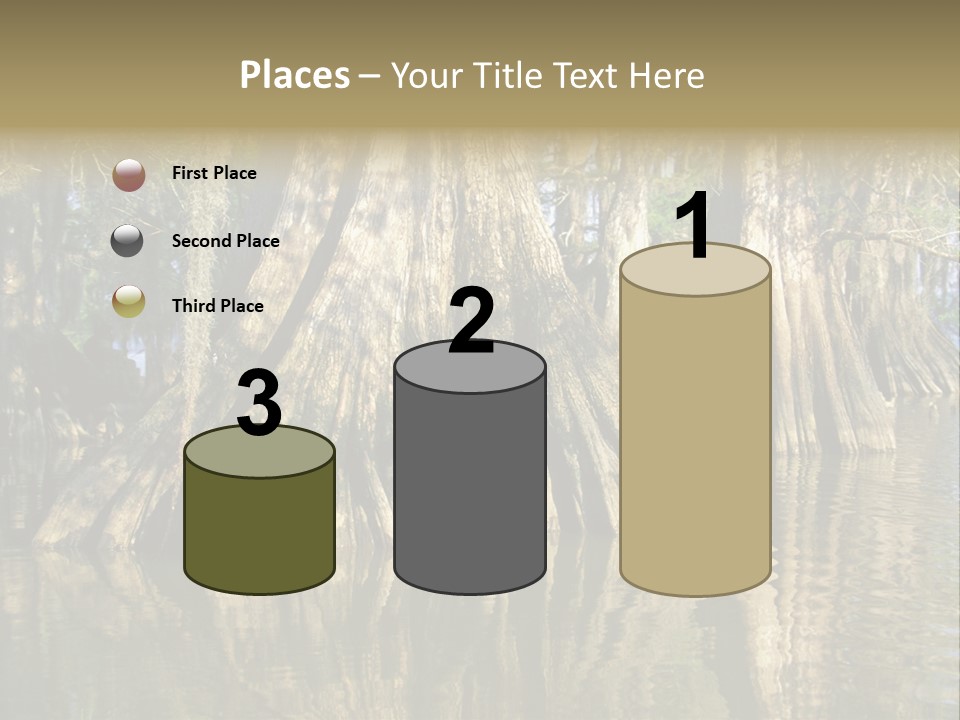 Usa Outdoors Bayou PowerPoint Template