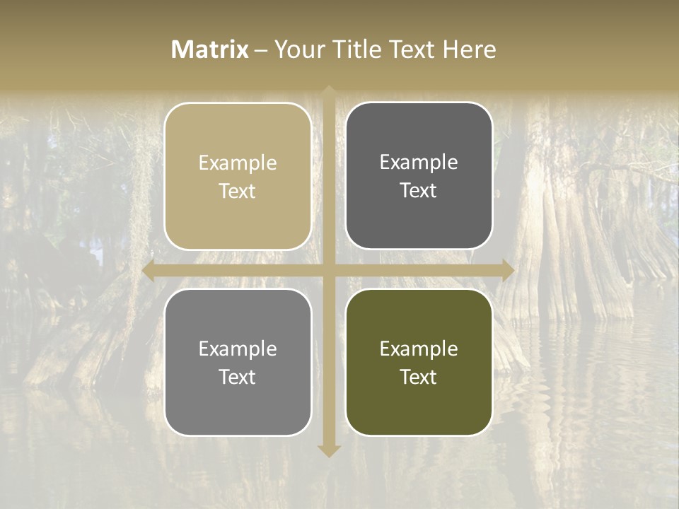 Usa Outdoors Bayou PowerPoint Template