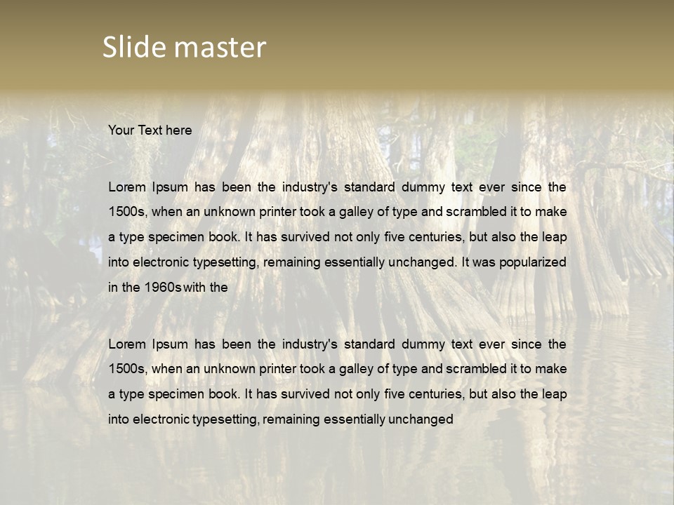 Usa Outdoors Bayou PowerPoint Template