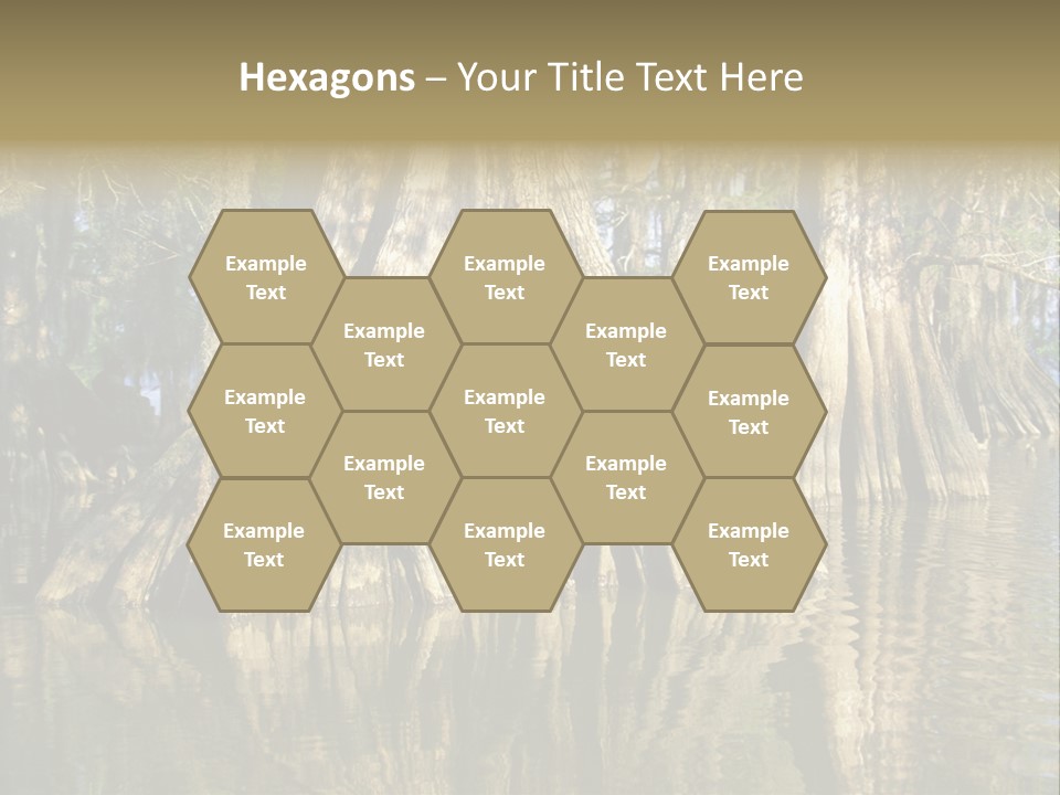 Usa Outdoors Bayou PowerPoint Template