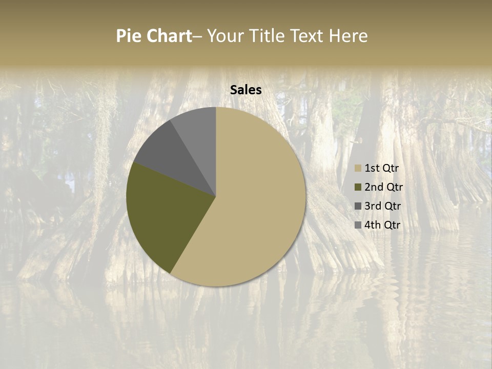 Usa Outdoors Bayou PowerPoint Template