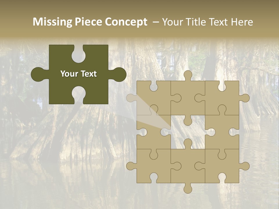 Usa Outdoors Bayou PowerPoint Template