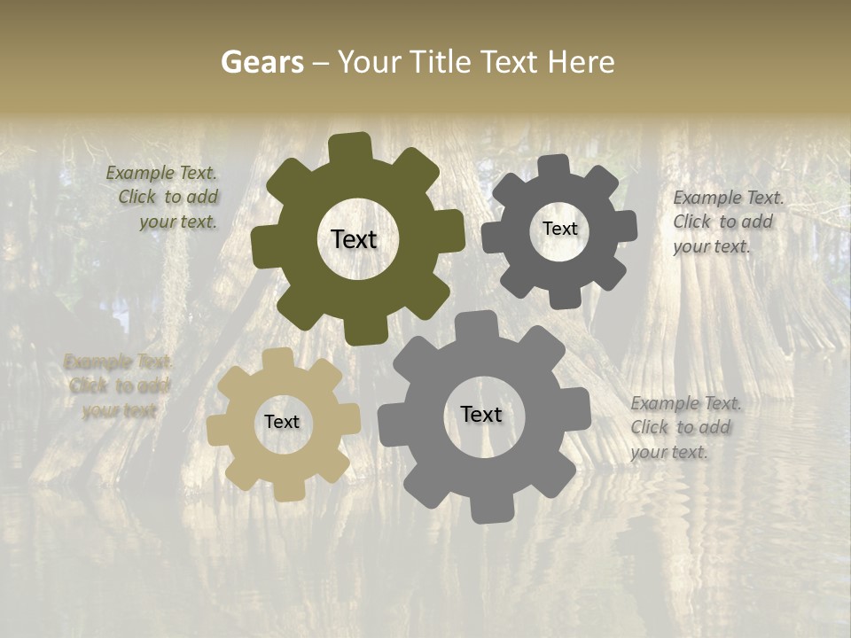 Usa Outdoors Bayou PowerPoint Template